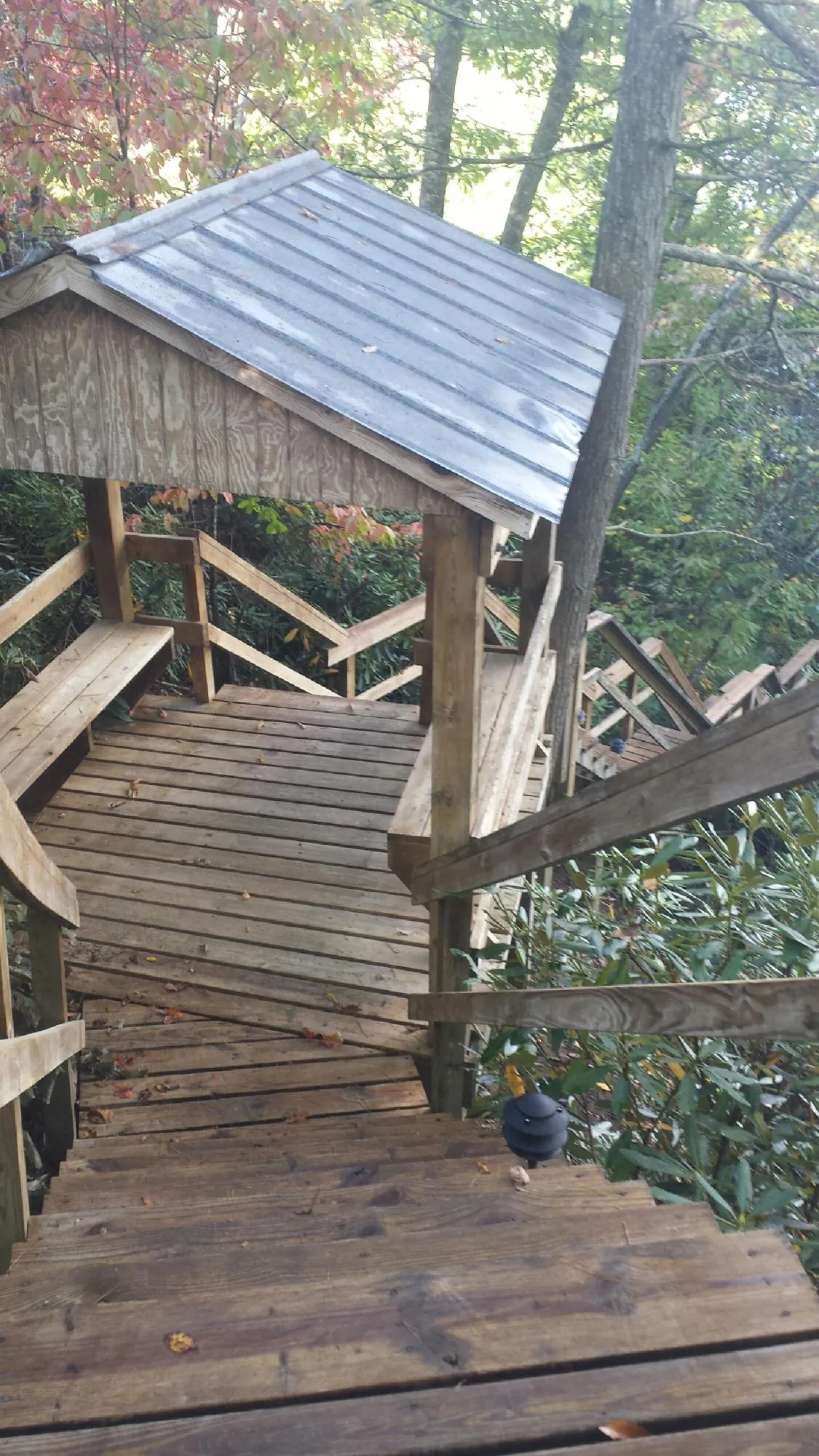 Metal roofed shelter over wooden steps on a wooded walkway — Skylight Repair & Installation work by our crew in Pleasant Ridge